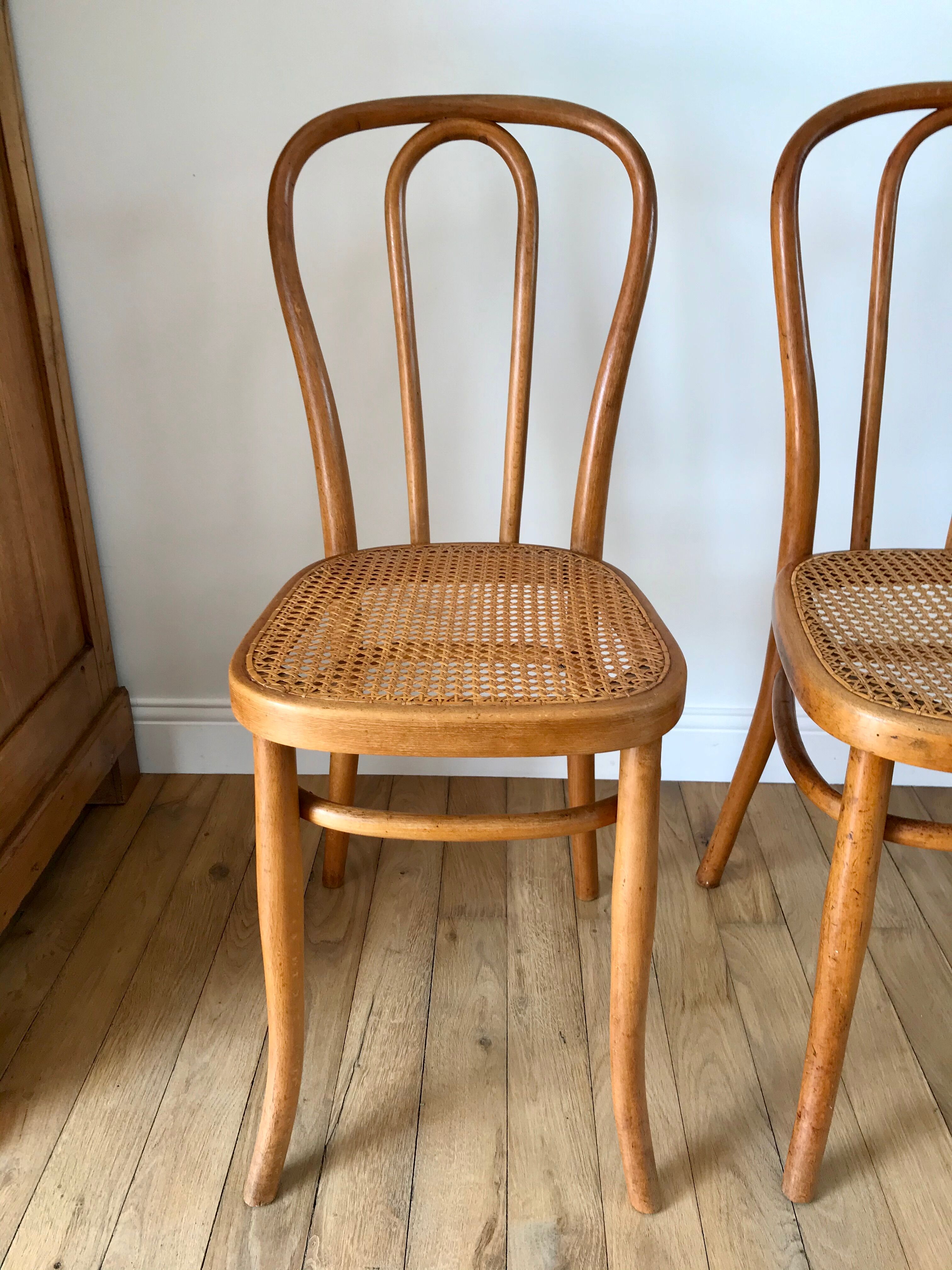 Set of 4 cane chairs in bentwood and honey-coloured cane thonet early 20th century