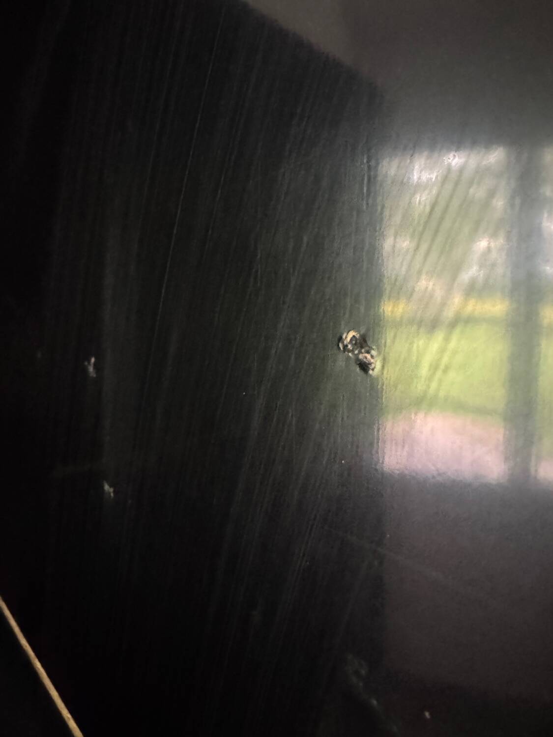 Antique Chinese lacquer screen