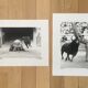 2 photographies Tauromachie Michel Pradel
