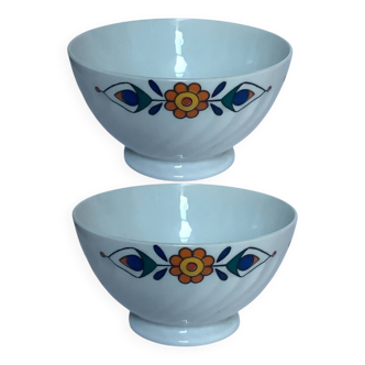 Pair of porcelain bowls with floral pattern – Vintage