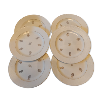 Salins ivory and gold flat plates