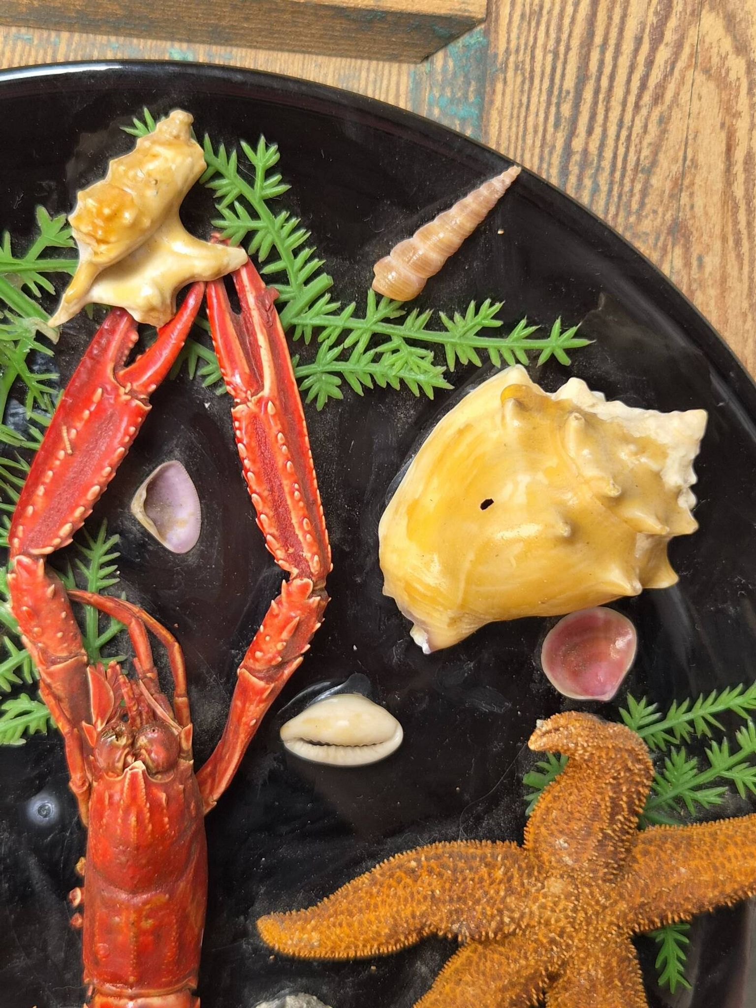 Unusual vintage wall plate seafood curiosity cabinet