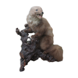 Weasel stuffed