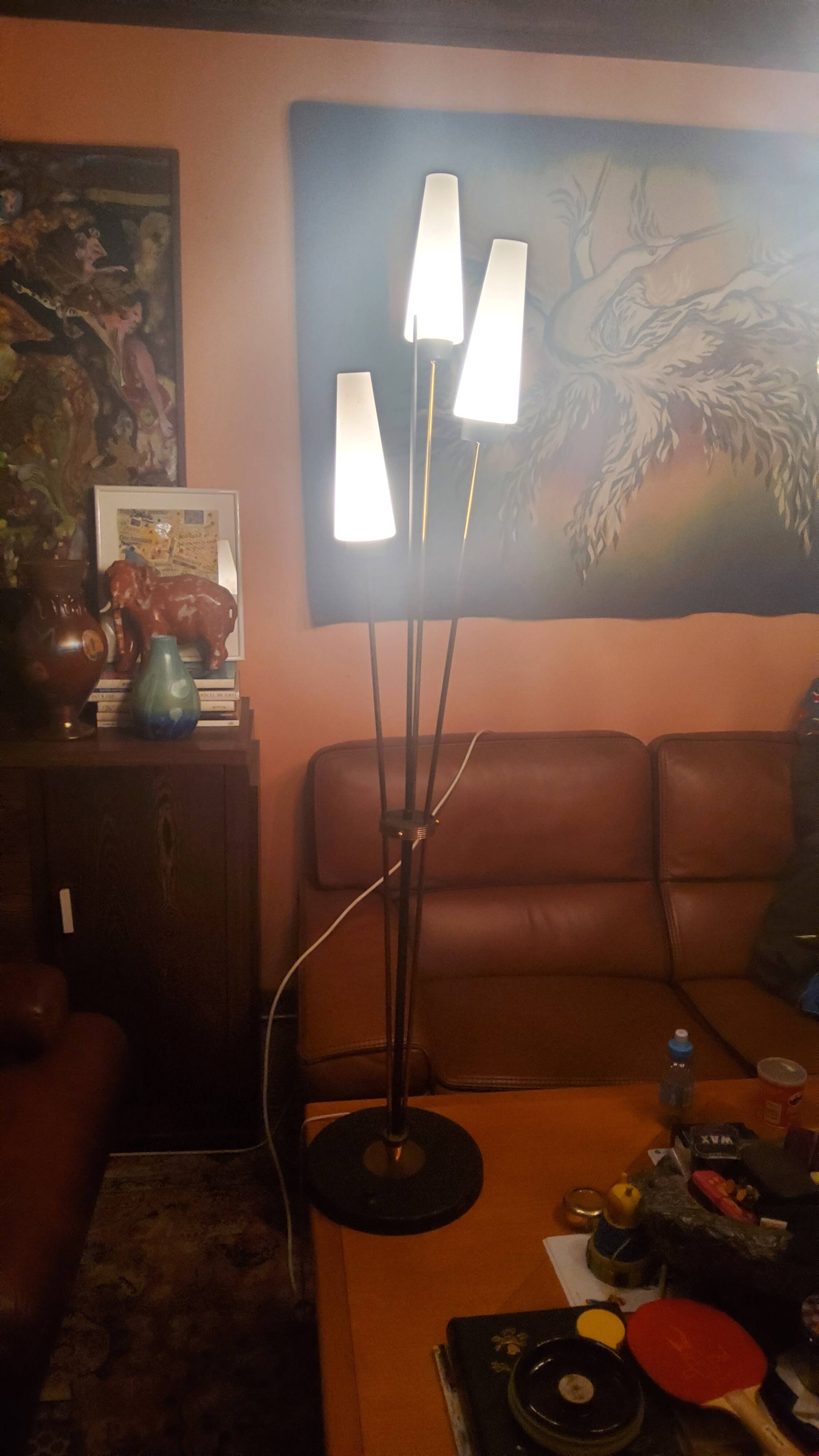 Vintage floor lamp from the 60s from Lunel