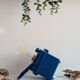 Wonder Tifon Dark Blue