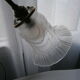 Lampe tulipe