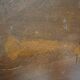 Mahogany and burl enfilade 1950/60