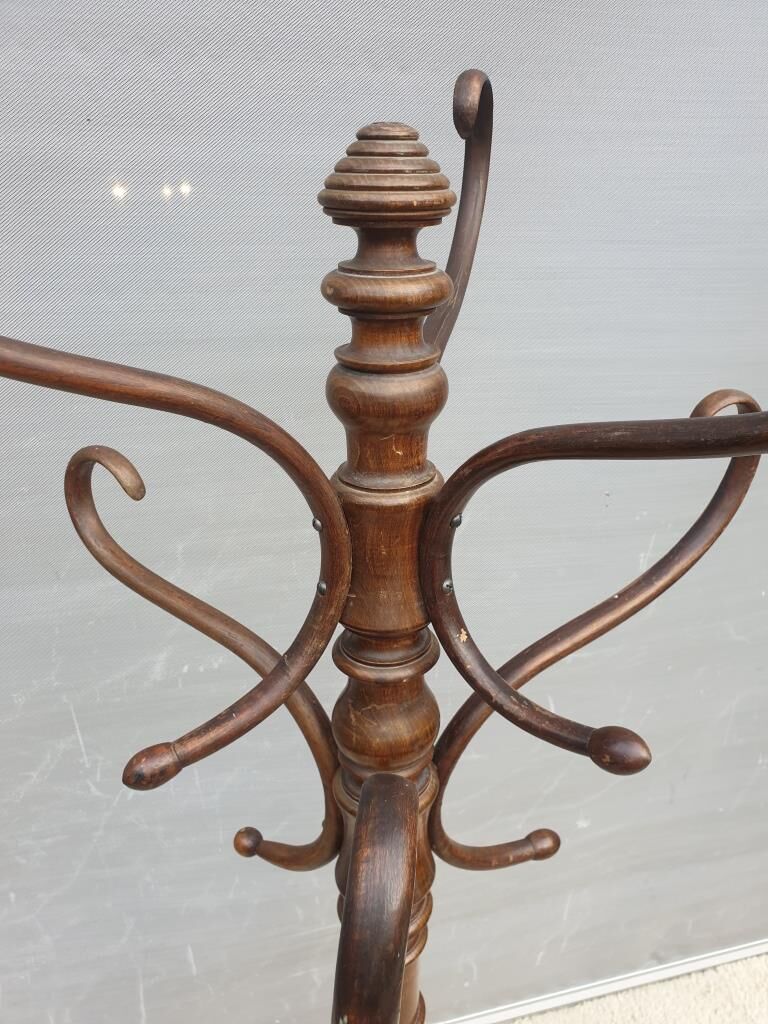 Fixed parrot rack bentwood Thonet 1900