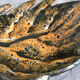 Plat feuille en céramique, L. Dage