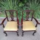 2 Chippendale-style armchairs