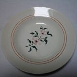 6 deep plates Alpes / Givors