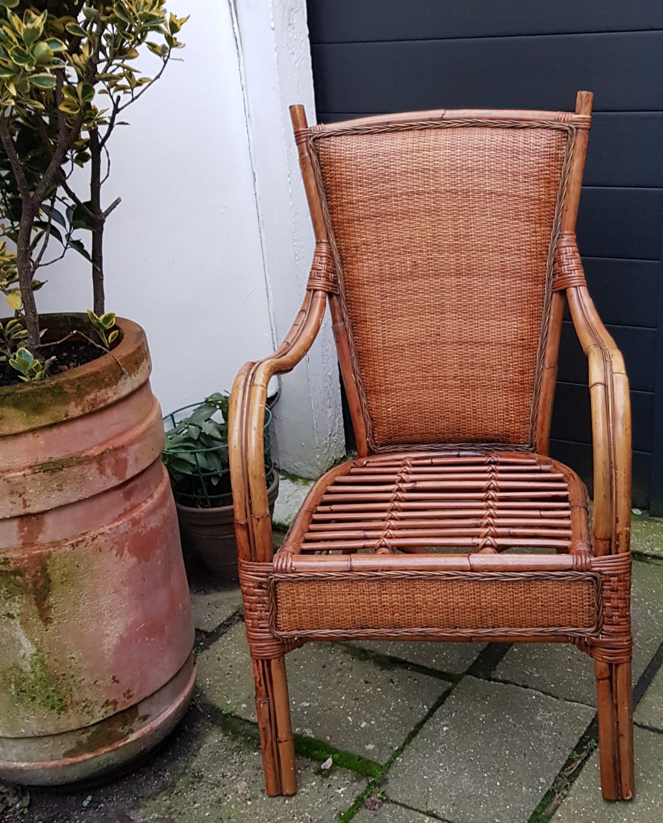 1950 rattan chair