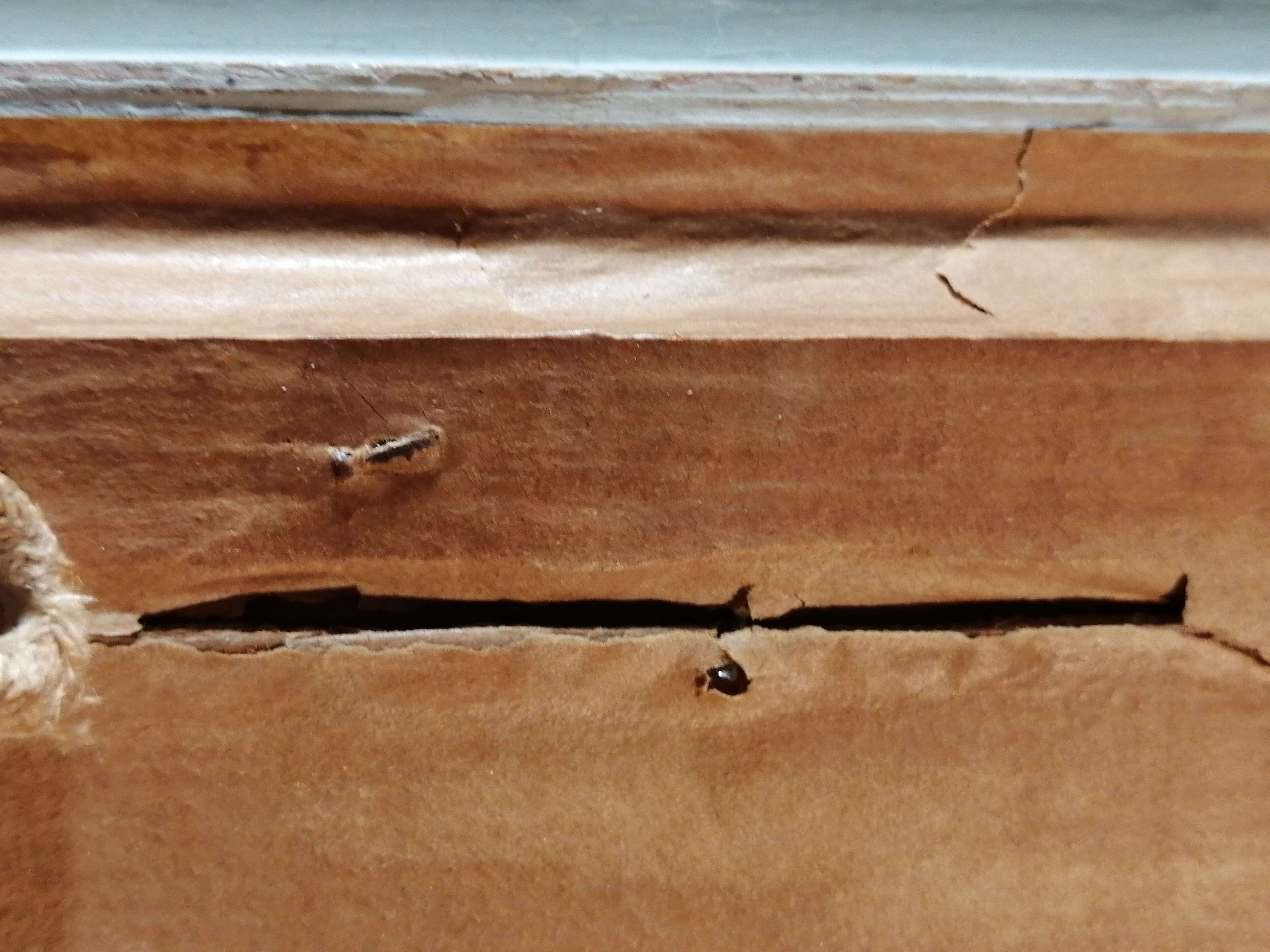 The sea of ice framed early 20th century.