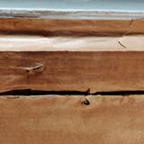 The sea of ice framed early 20th century.