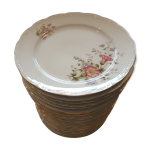 Lot de 24 assiettes plates en porcelaine