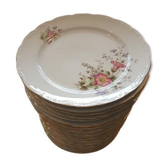 Lot de 24 assiettes plates en porcelaine vintage