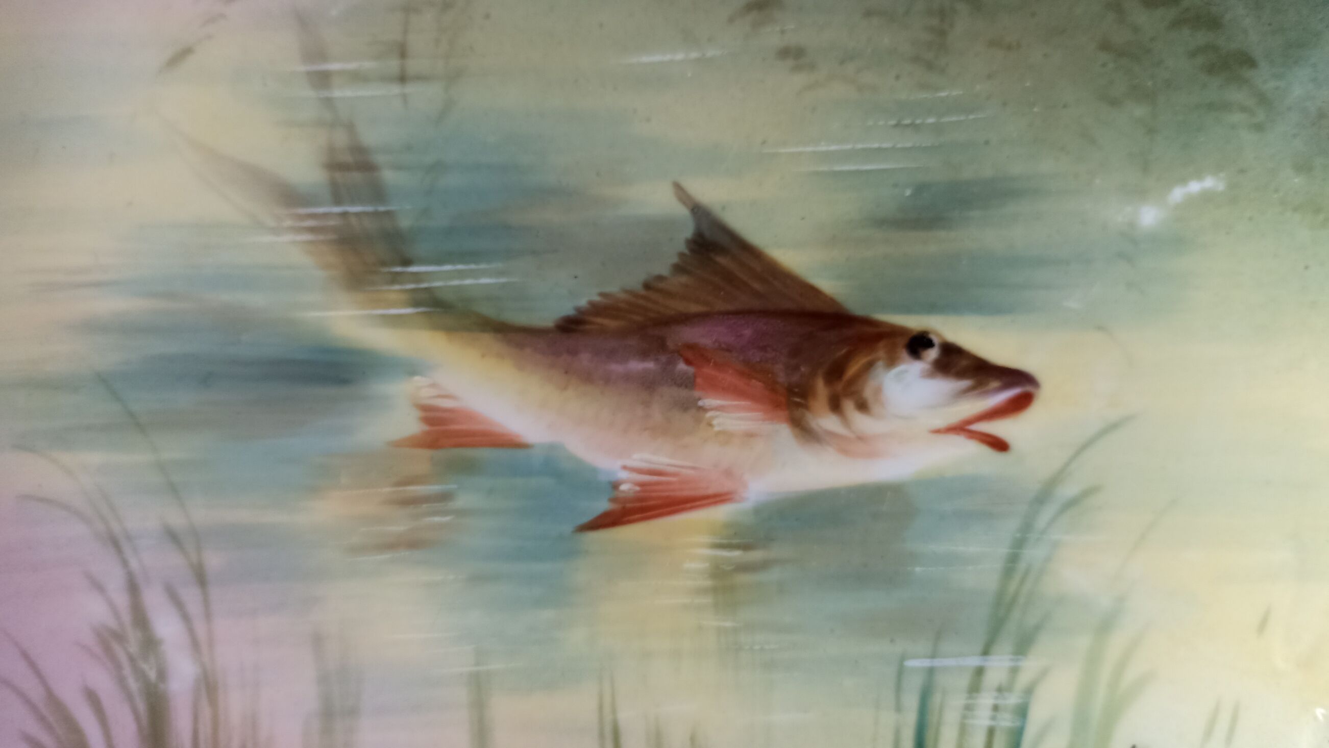 Plate n°2 - Limoges porcelain by Balleroy, Mandavy and de Mavaleix