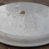 Tarte dish or cake Sarreguemines