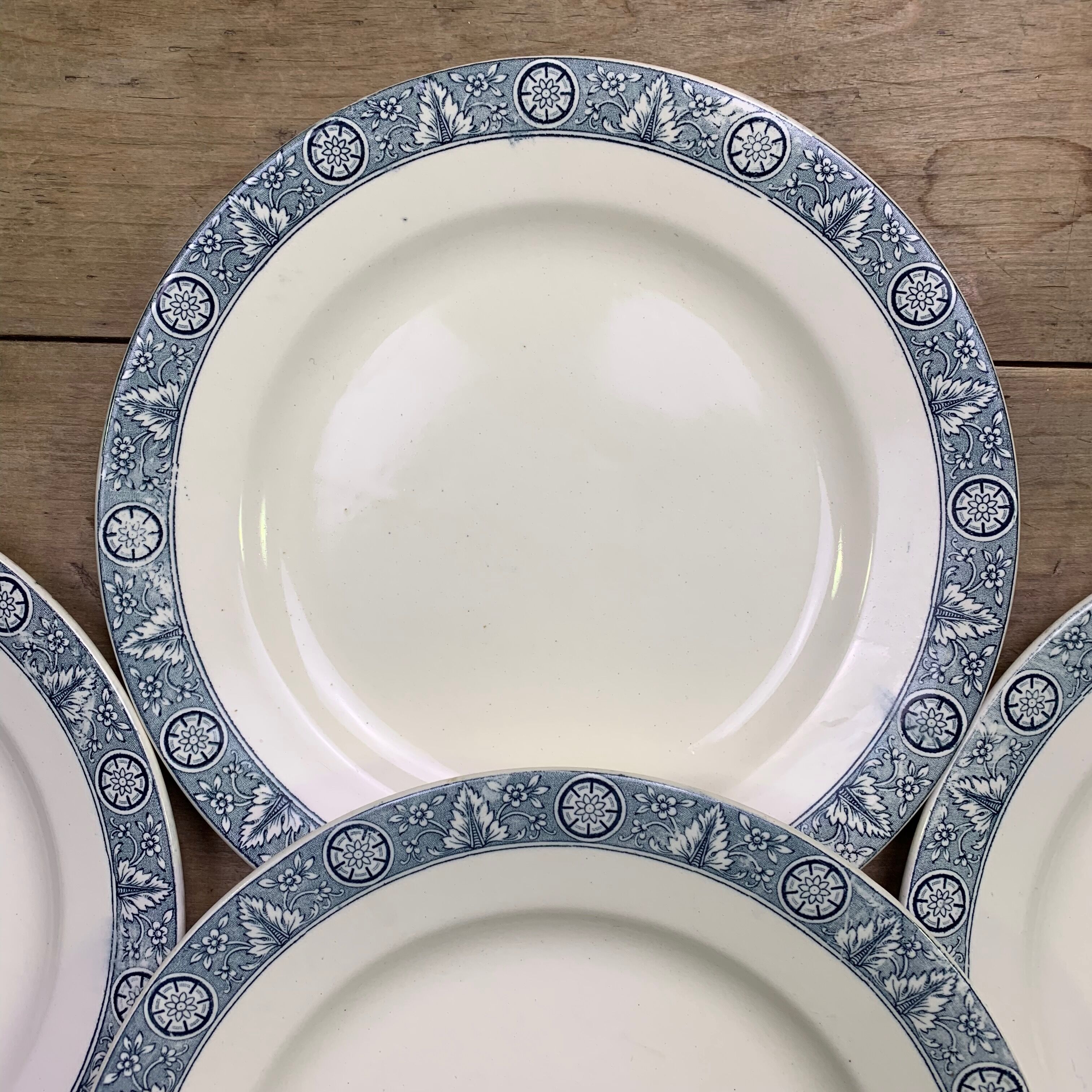 Set of 6 dinner plates Earth iron Lamartine