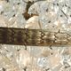 Antique crystal pendant chandelier – vintage Empire style – bronze
