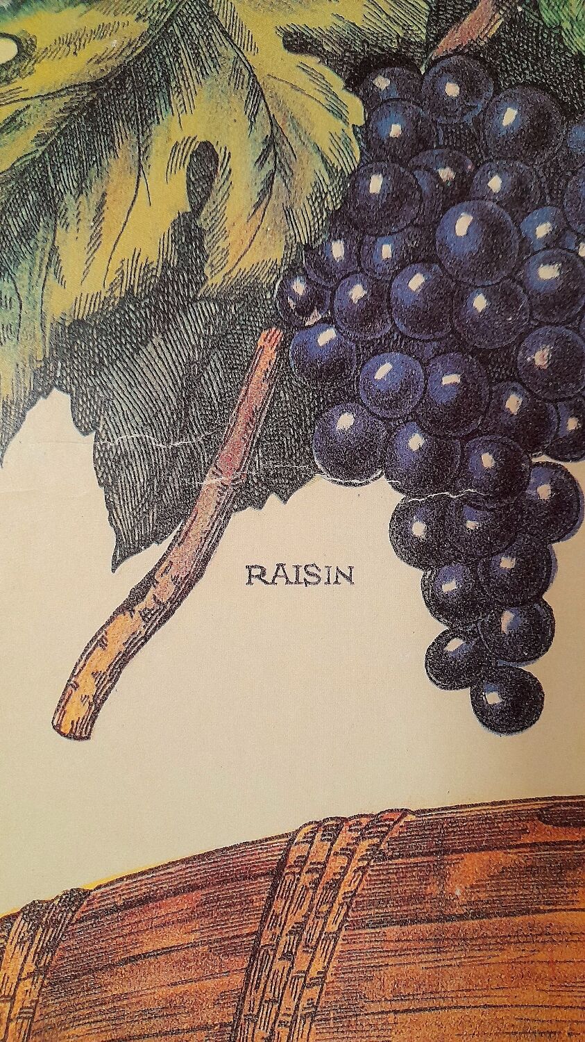 Educational poster Deyrolles Le Vin.