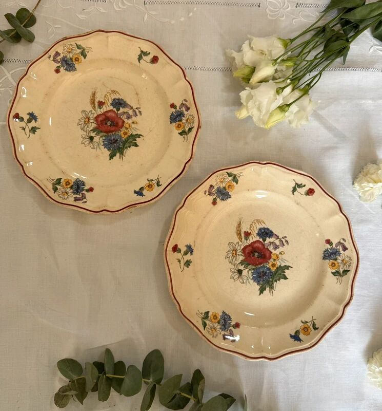 Set of 2 Sarreguemines plates
