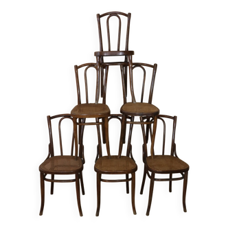 Series x6 bistro chairs n°56 Thonet