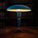 Table lamp / desk lamp BIJOU vintage Louis Kalff Philips