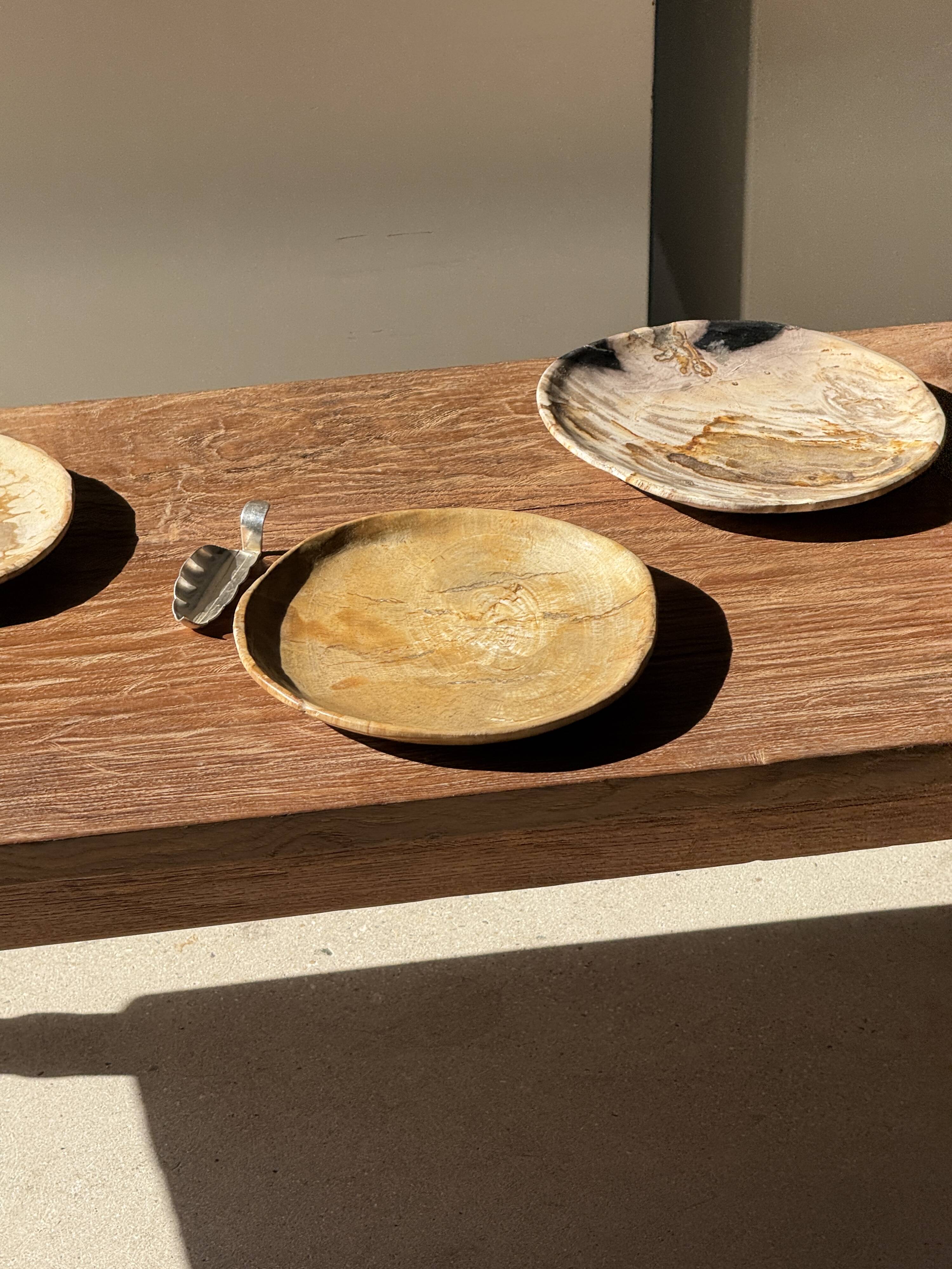 Small pocket tray or circular beige petrified wood dish D22.5-20 -3310