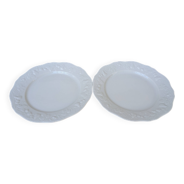 Set of 2 fruit motif plates P. Deshoulières in Limoges porcelain