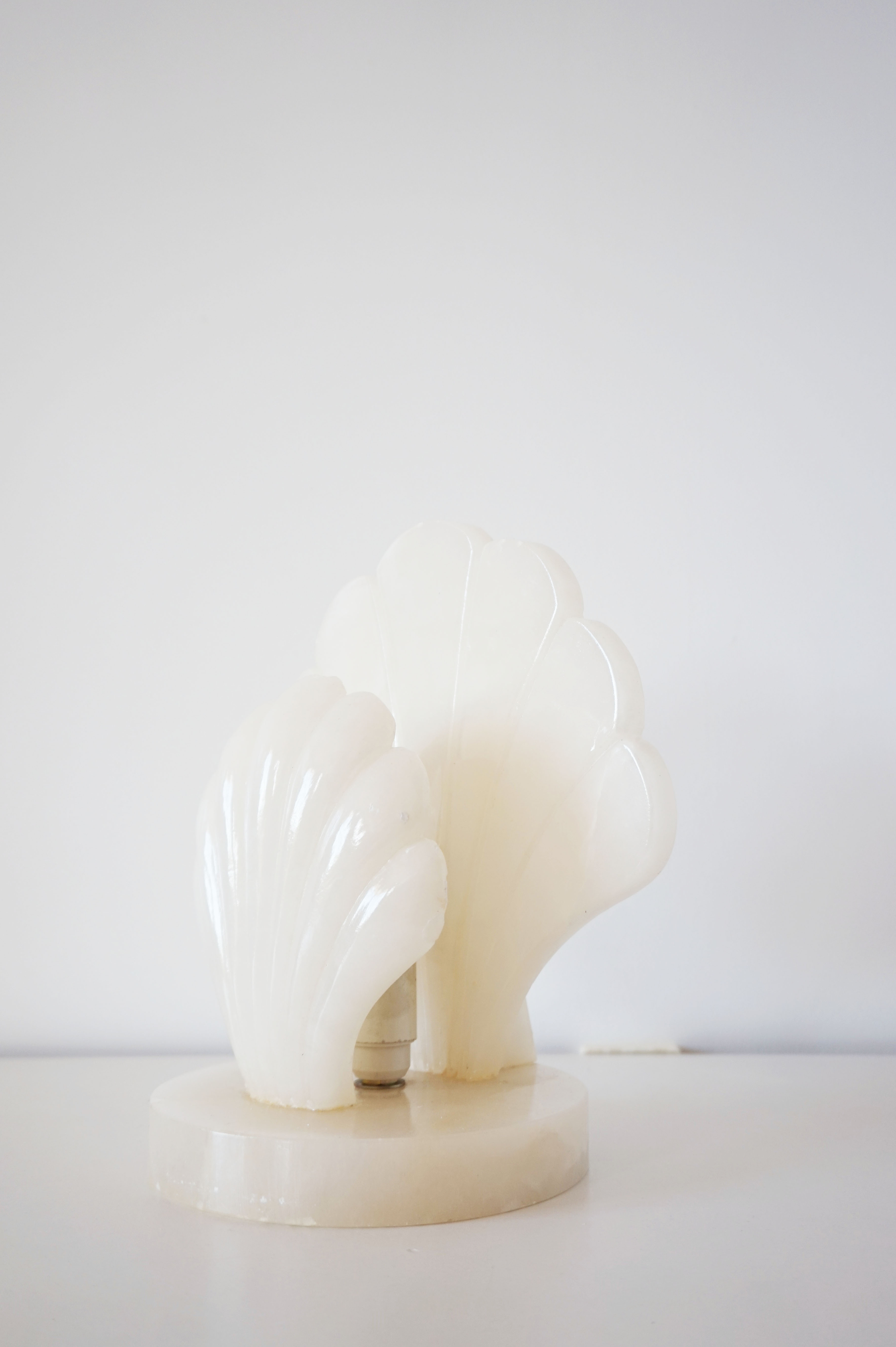 Alabaster shell lamp
