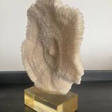 Vintage coral on plexiglass base