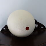 Autuche egg