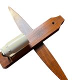 Scandinavian teak and perspex wall light