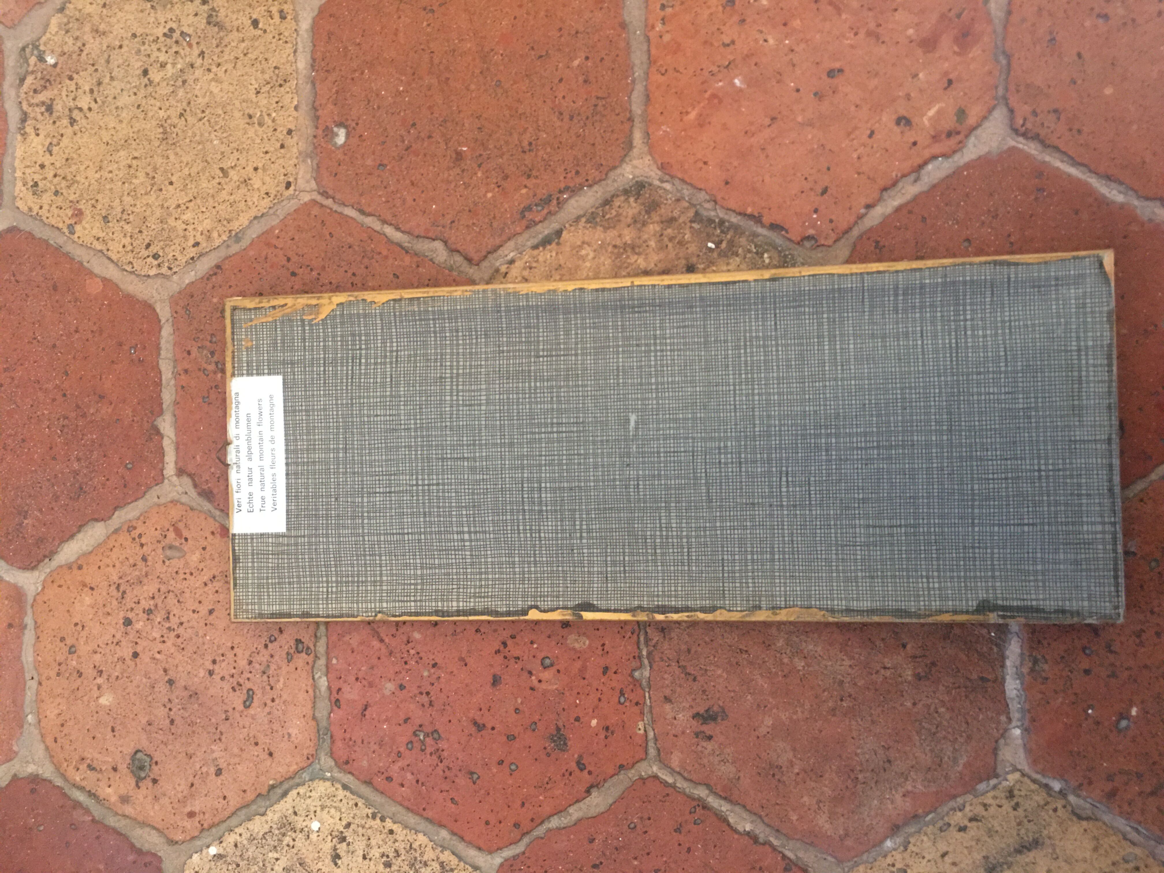 Mountain Herbier Edelweiss