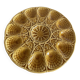 Sarreguemines earthenware oyster dish