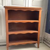 Vintage low library in shallow wood