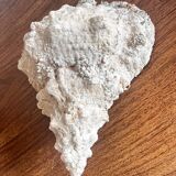 Ancient shell