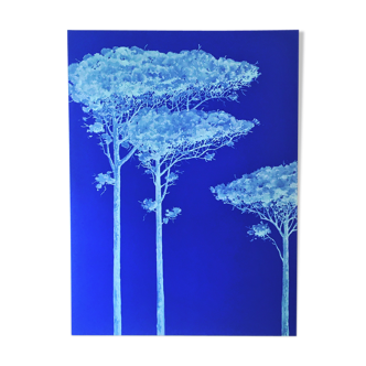 Pins Bleu turquoises sur fond bleu Dessin peinture acrylique sur toile de Bertrand Cure