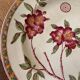 Iron earth plate Vermont English earthenware Hanley