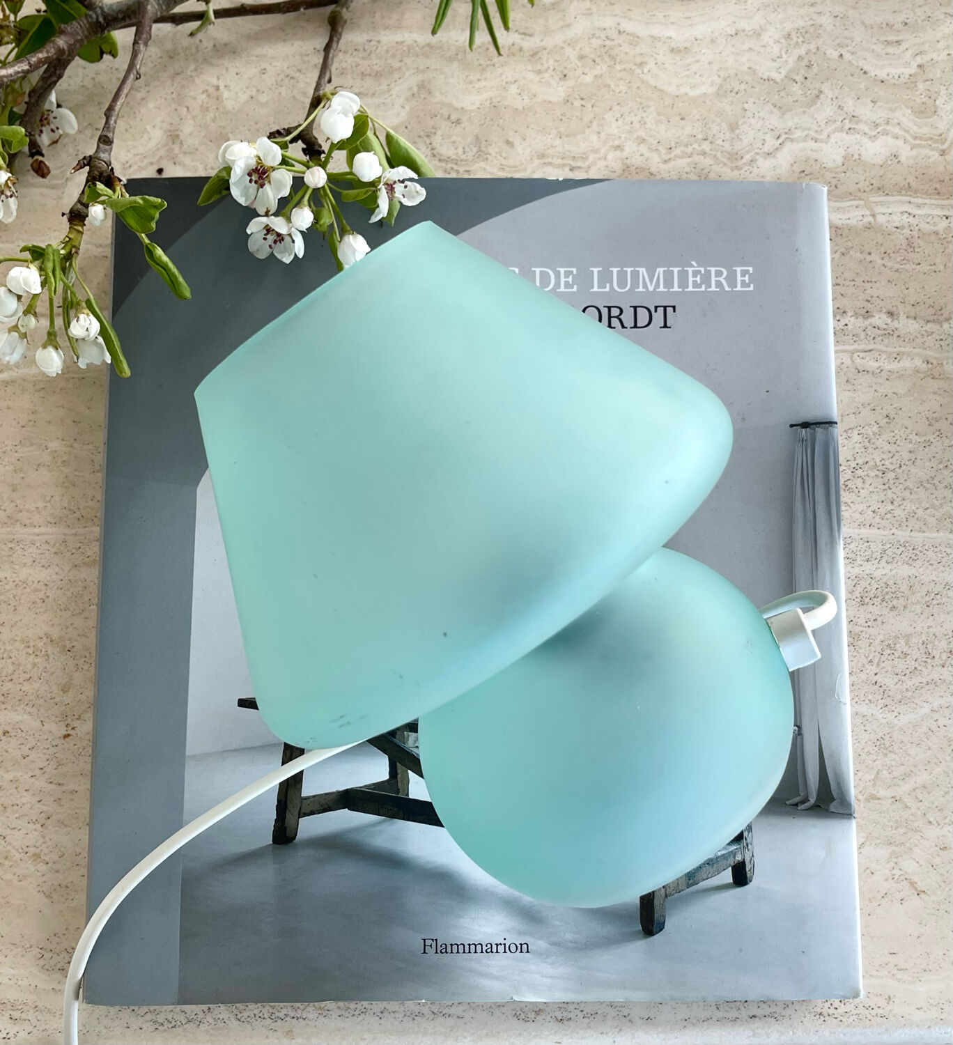 Frosted glass mushroom lamp