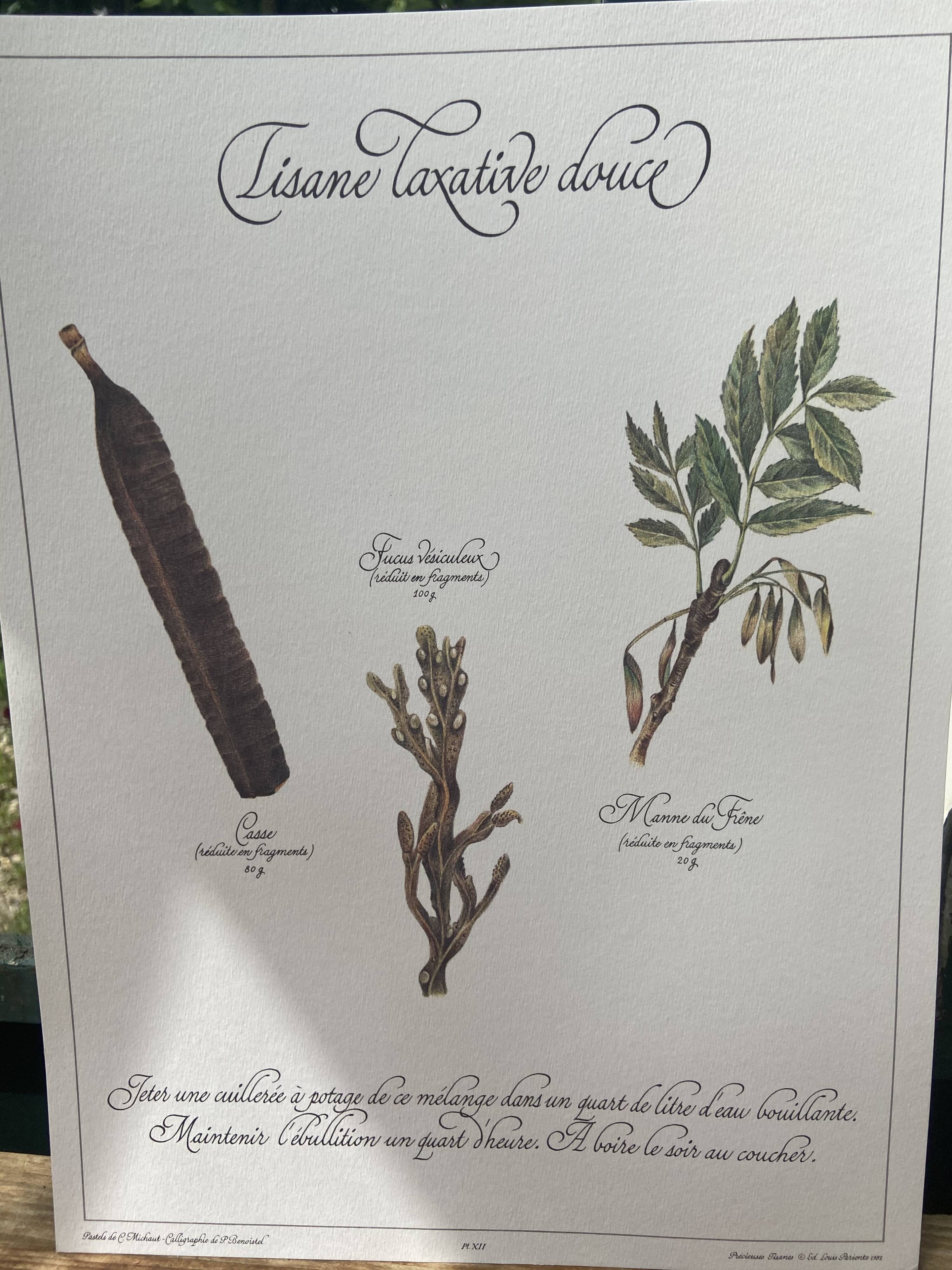 Botanical plank "Sweet laxative tisane"