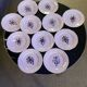 Set of 11 Digoin Sarreguemines plates