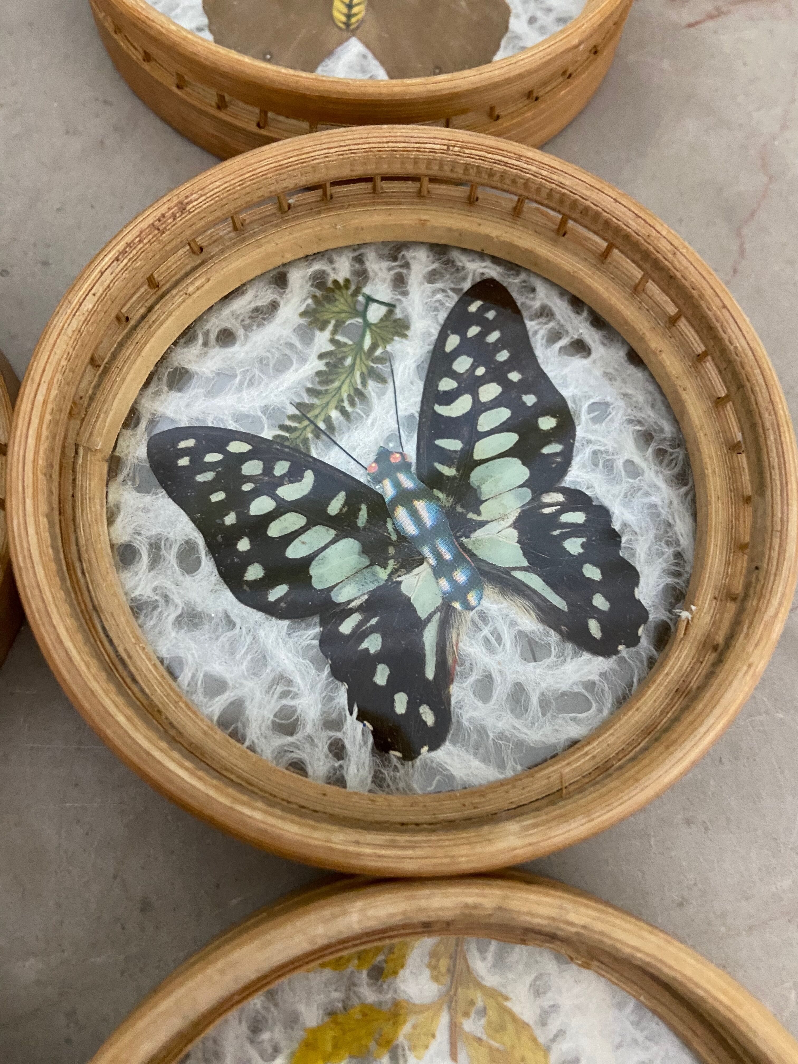 Butterfly coasters