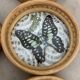 Butterfly coasters