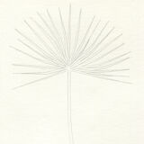 Palme - Original drawing