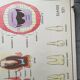 School poster Nightingale N ° 3 the teeth N ° 4 the Digestion