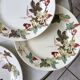 set of 8 dessert plates Terre de Fer Lunéville model Lier XIXth