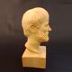 Bust Apietoteahe