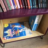 Nonah Salamander Children's Library